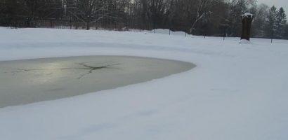 Création d’un étang au Grand-Saconnex