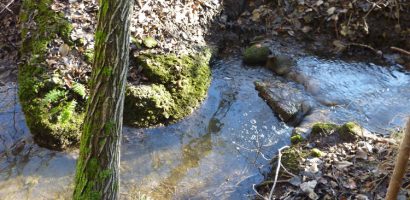 Rapport d’état des cours d’eau dans le cadre du PGEE de la place d’Armes de Drognens