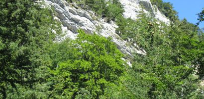 Mise en réserve forestière naturelle de la Roche des Arcs – Dent de Vaulion
