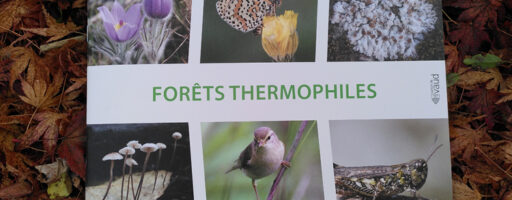 Brochure forêts thermophiles