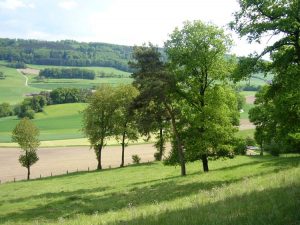 Chapelle-agriculture-paysage