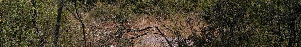 Etude des milieux secs du Pied du Jura au nord du canton de Vaud